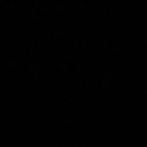 Meet your Posher, Suzi